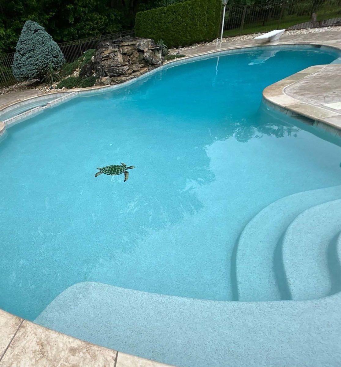 Light-blue liner pool with wedding-cake steps and turtle mosaic
